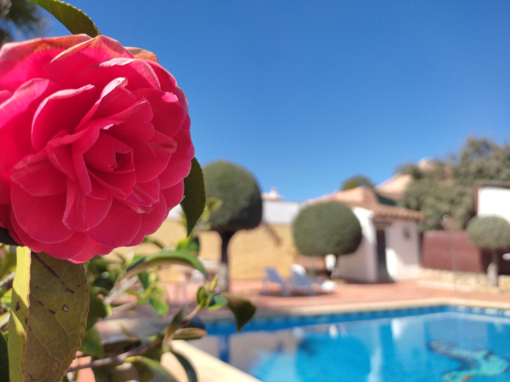 Casa Maleda Villa Hornachuelos Buitenkant foto