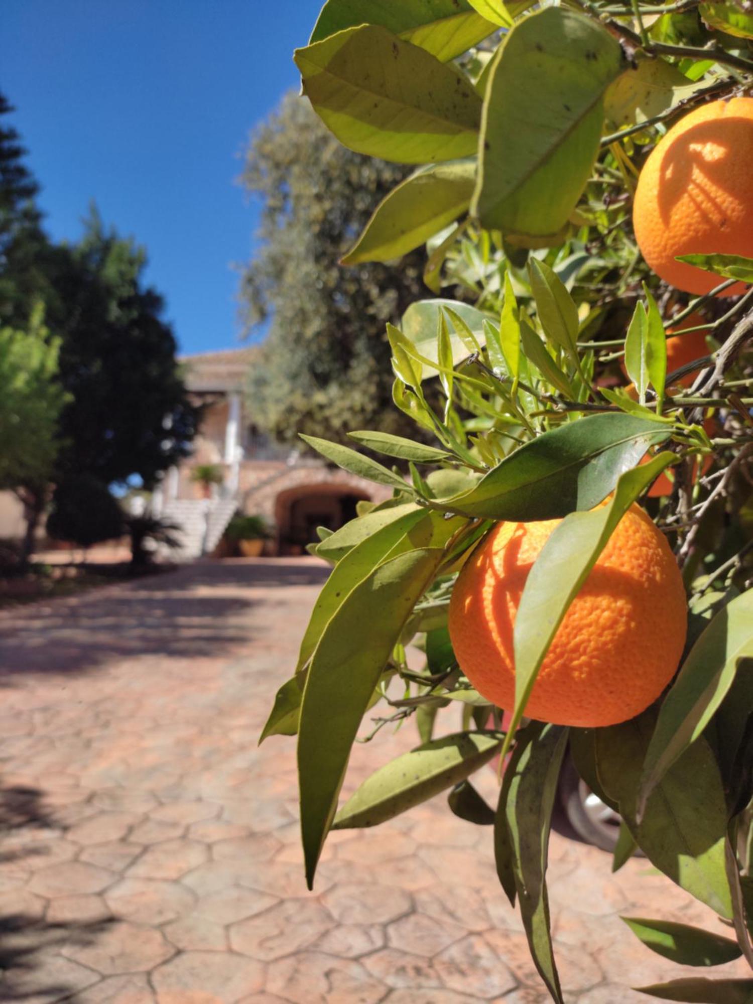 Casa Maleda Villa Hornachuelos Buitenkant foto